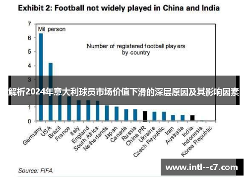 解析2024年意大利球员市场价值下滑的深层原因及其影响因素