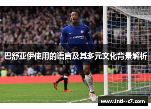 巴舒亚伊使用的语言及其多元文化背景解析
