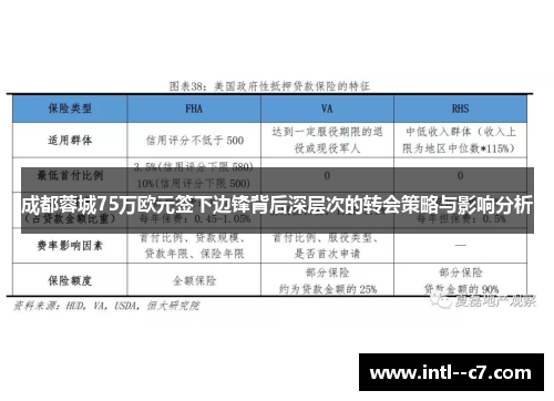 成都蓉城75万欧元签下边锋背后深层次的转会策略与影响分析
