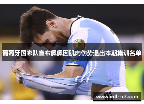 葡萄牙国家队宣布佩佩因肌肉伤势退出本期集训名单