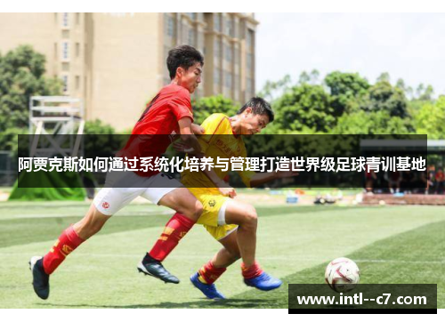 阿贾克斯如何通过系统化培养与管理打造世界级足球青训基地