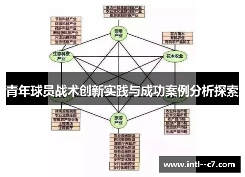 青年球员战术创新实践与成功案例分析探索