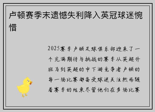 卢顿赛季末遗憾失利降入英冠球迷惋惜 卢顿赛季末遗憾失利降入英冠球迷惋惜