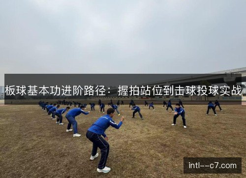 板球基本功进阶路径：握拍站位到击球投球实战